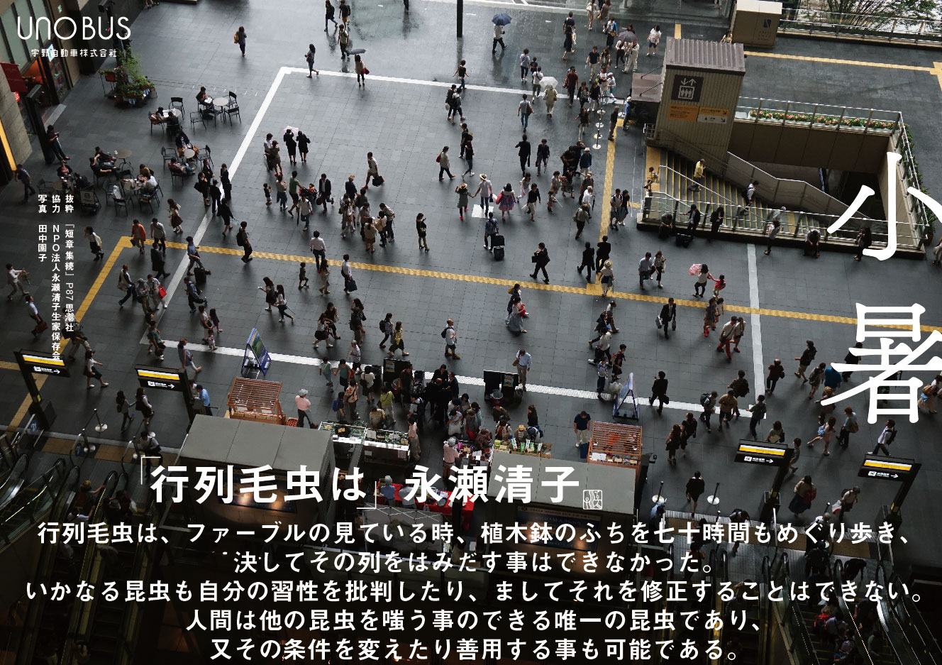 小暑B3ポスター