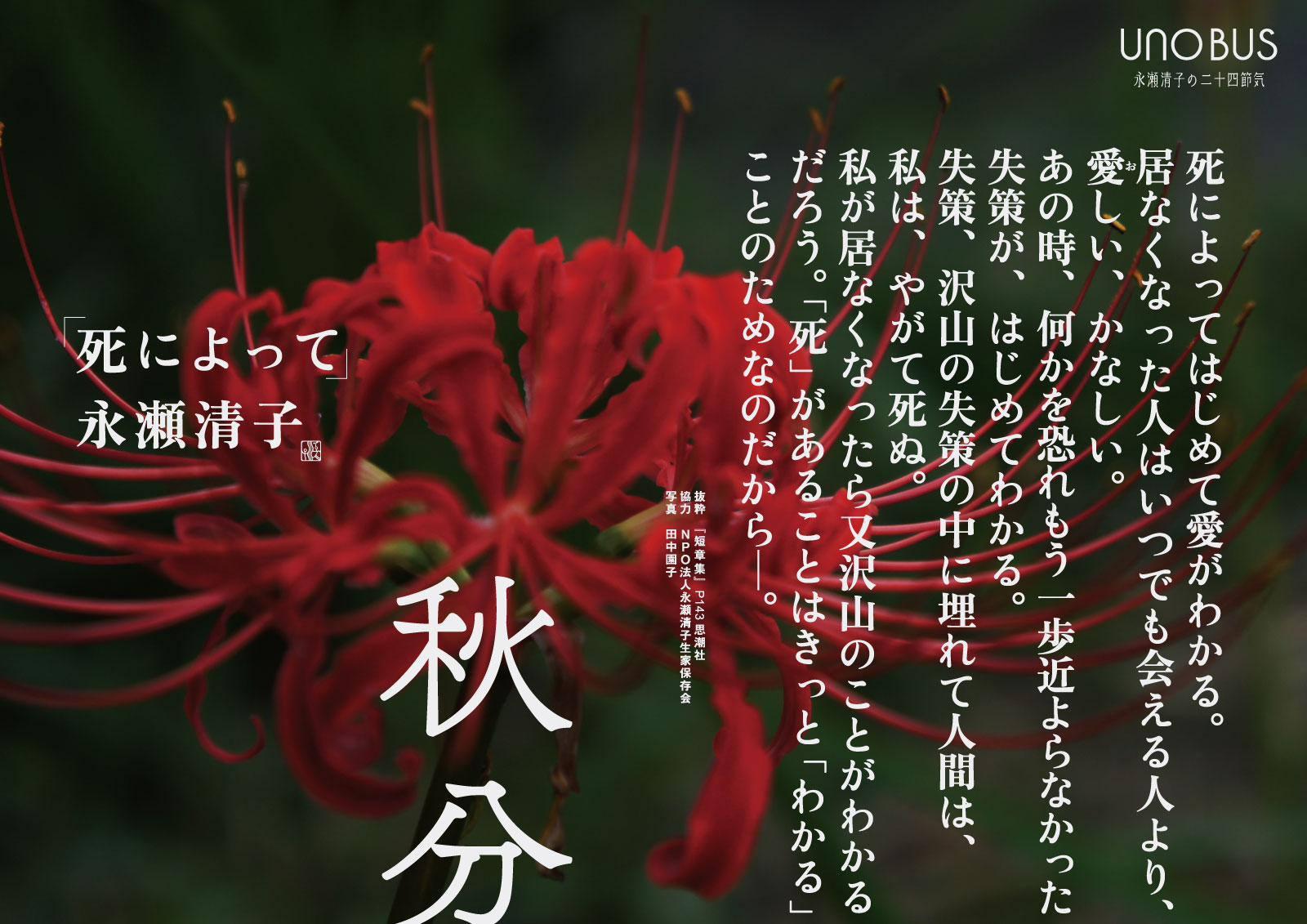 秋分B3ポスター