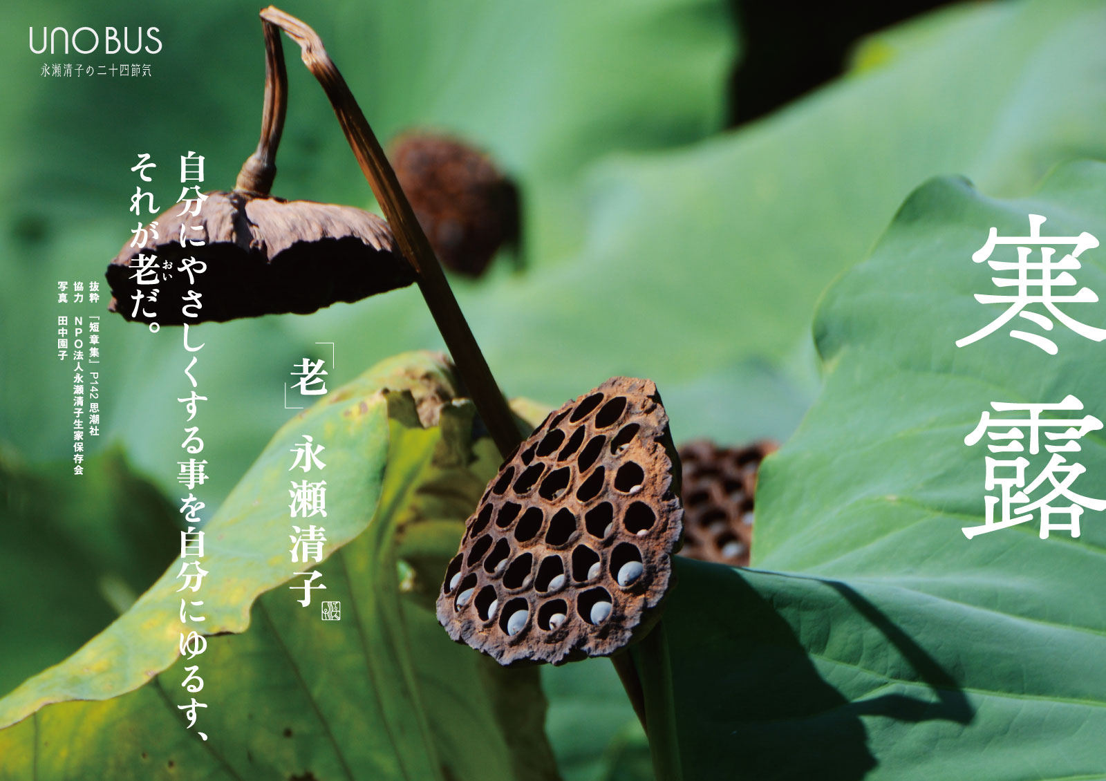 寒露B3ポスター