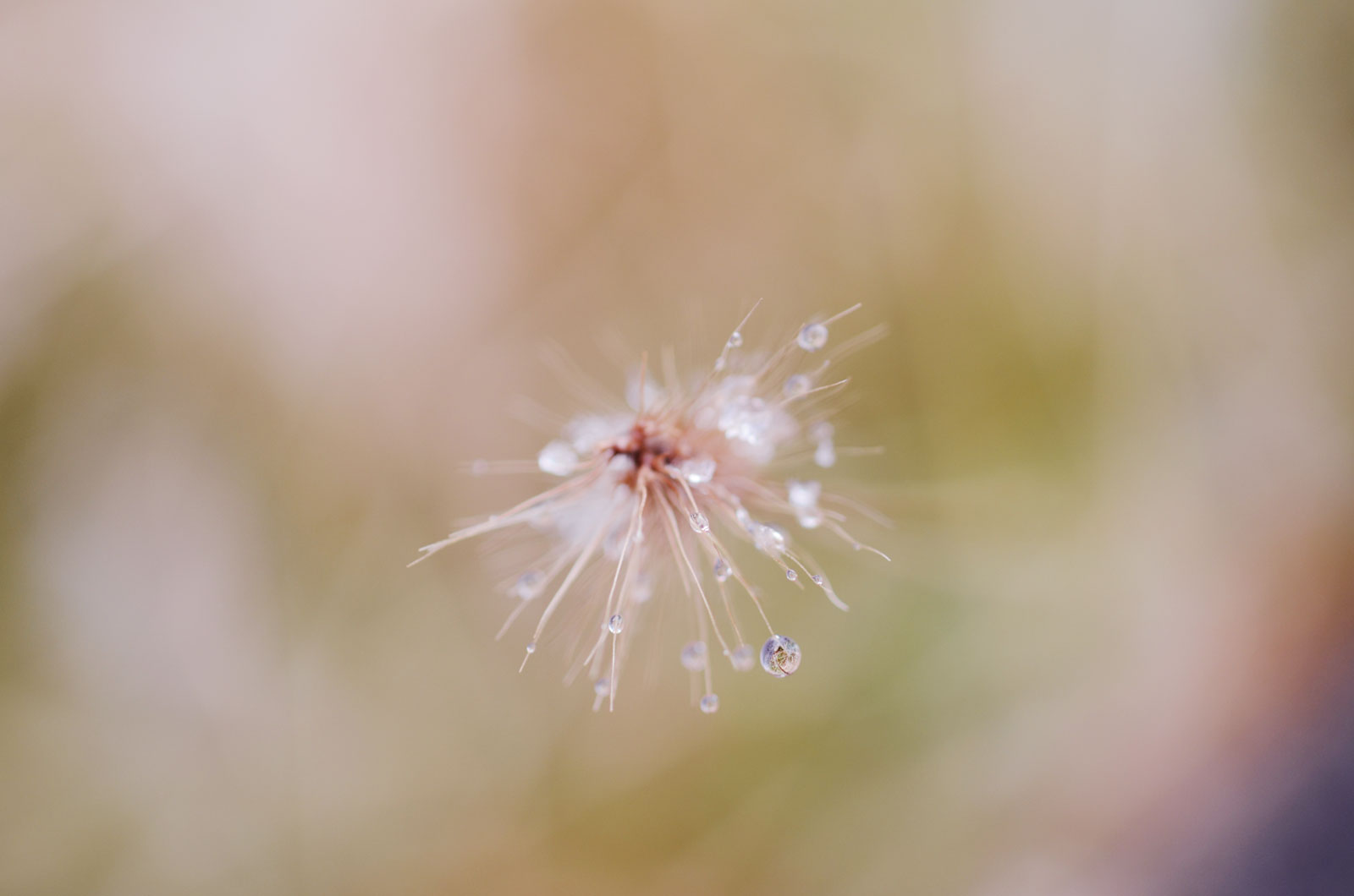 写真 雨水