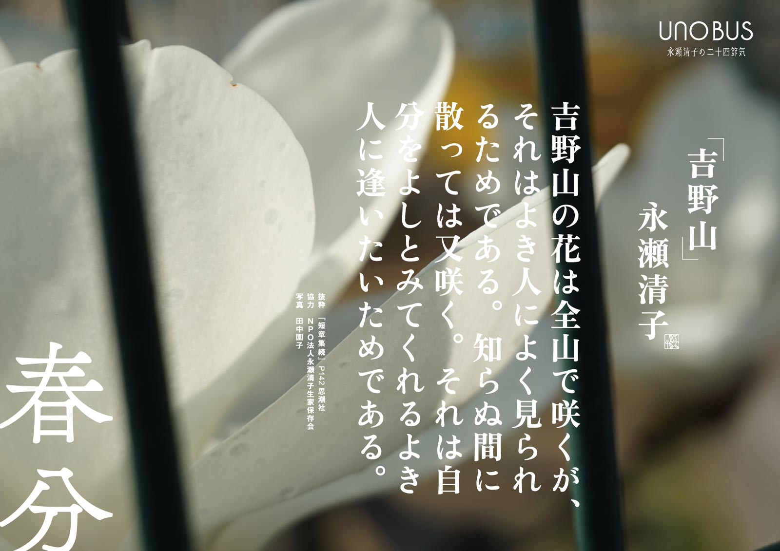 春分B3ポスター
