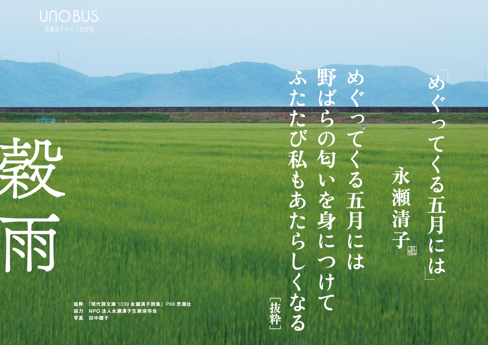穀雨B3ポスター